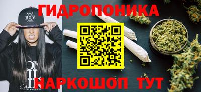 экстази Сланцы