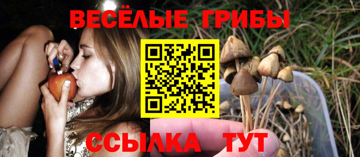 Галлюциногенные грибы ЛСД  Вход с VPN  Псилоцибиновые грибы Magic Shrooms  Павловский Посад 